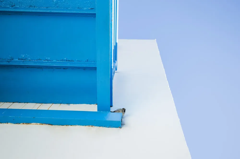 ACC Décoration (2)webp